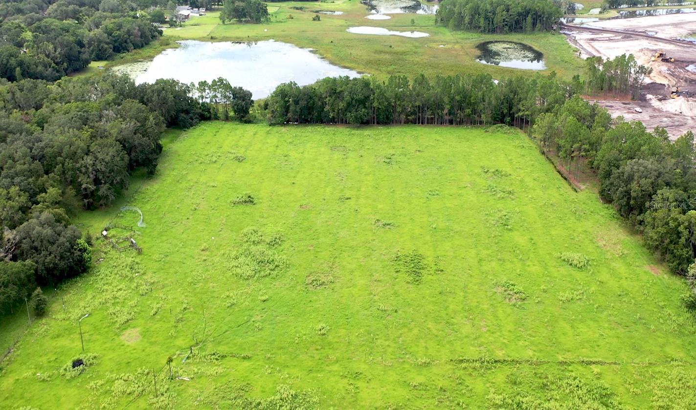8989 EHREN CUTOFF, LAND O LAKES, FL, 34639