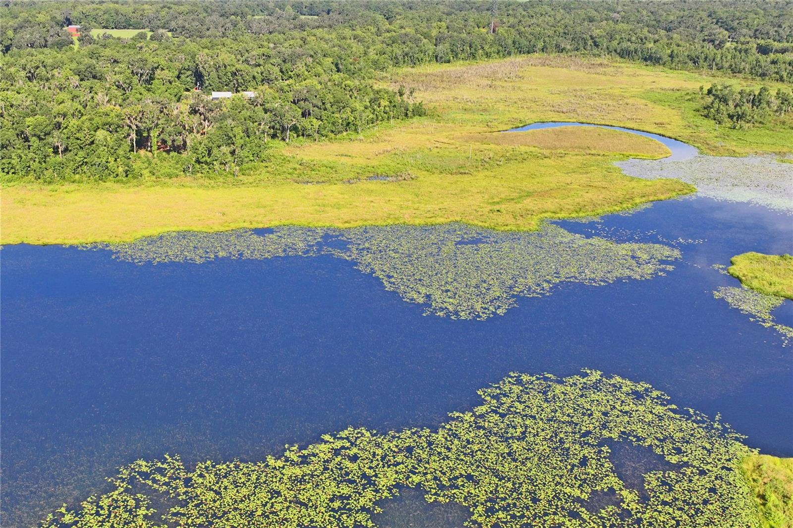 13600 PONCE DE LEON BLVD, BROOKSVILLE, FL, 34601