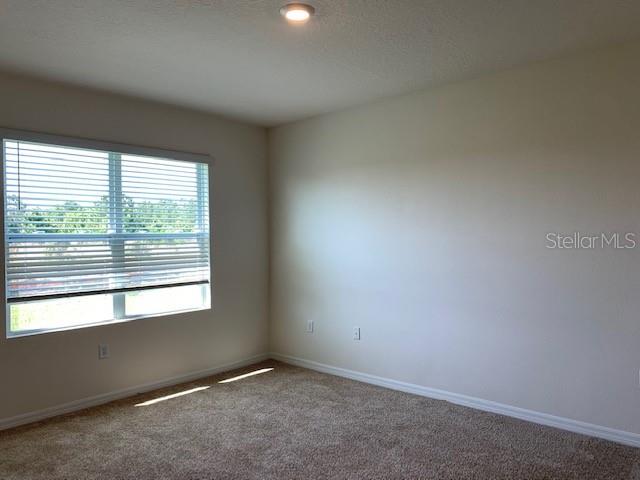 1467 FOX SQUIRREL DR, DAVENPORT, FL, 33897