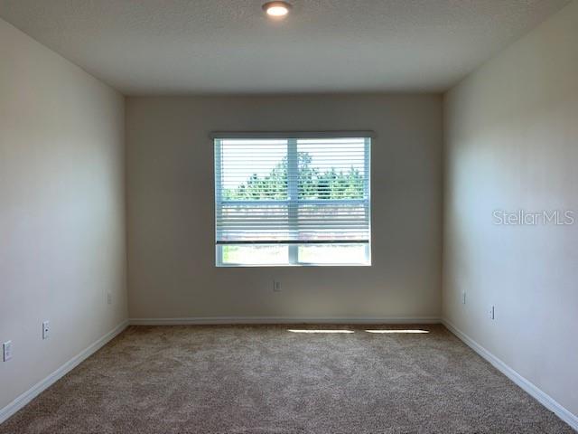 1467 FOX SQUIRREL DR, DAVENPORT, FL, 33897