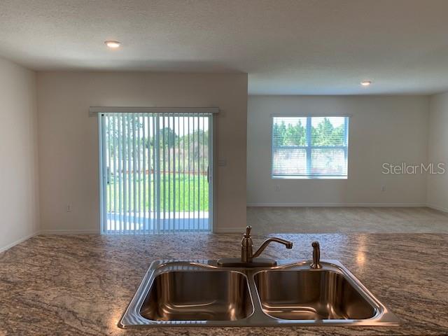1467 FOX SQUIRREL DR, DAVENPORT, FL, 33897