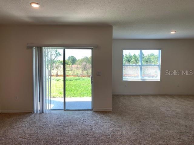 1467 FOX SQUIRREL DR, DAVENPORT, FL, 33897