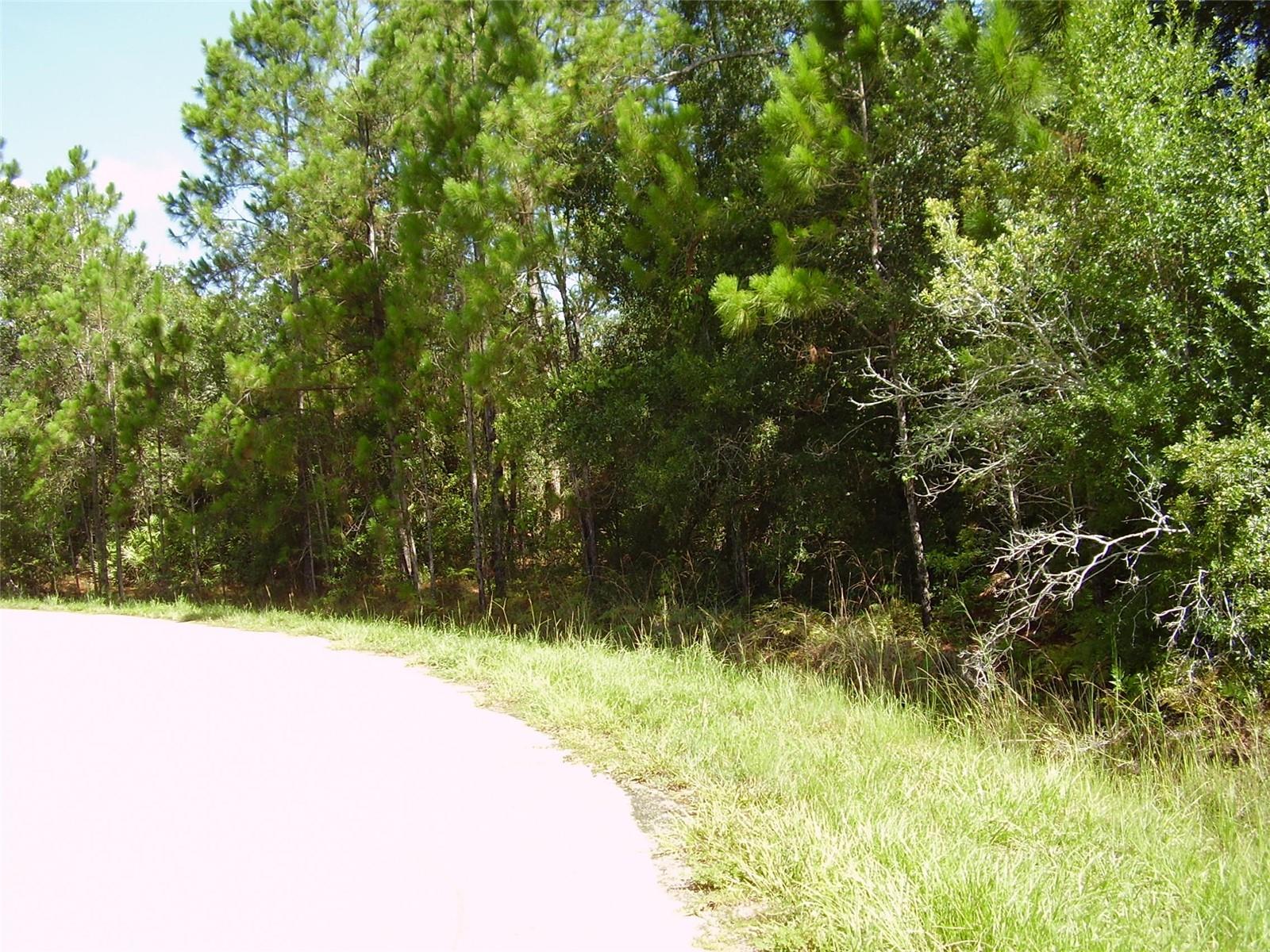 1437 TERN CT, POINCIANA, FL, 34759