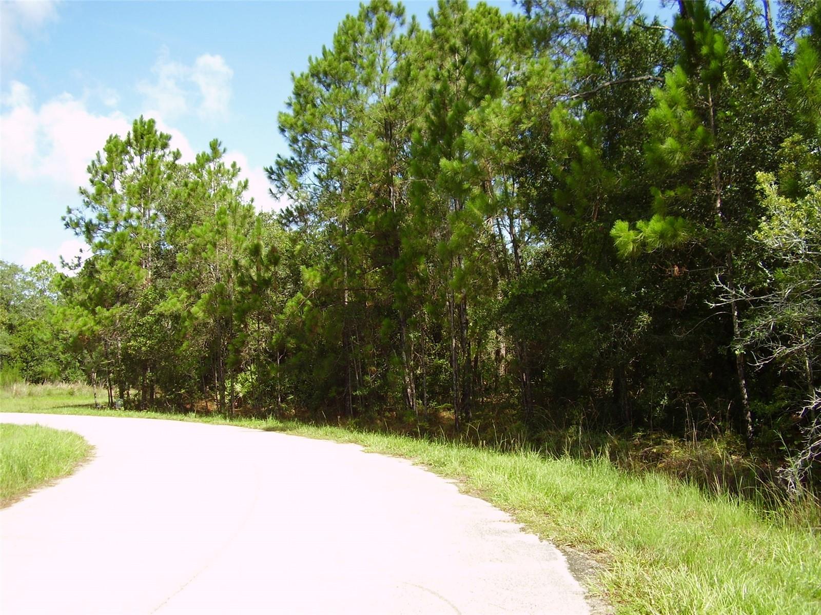 1437 TERN CT, POINCIANA, FL, 34759