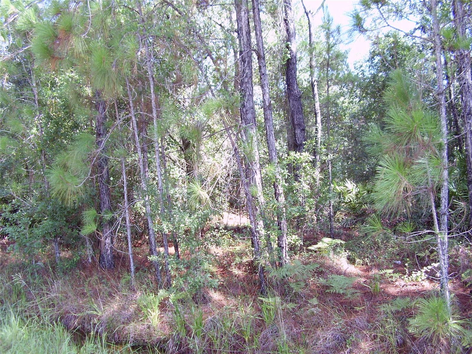 1437 TERN CT, POINCIANA, FL, 34759