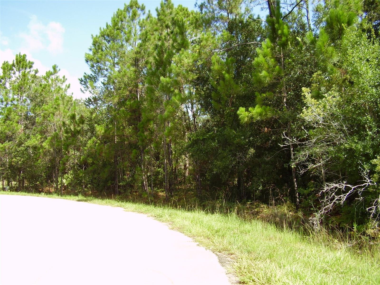 1437 TERN CT, POINCIANA, FL, 34759