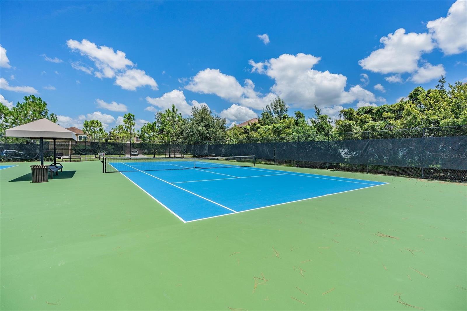 32884 ESTATE GARDEN DR, WESLEY CHAPEL, FL, 33545