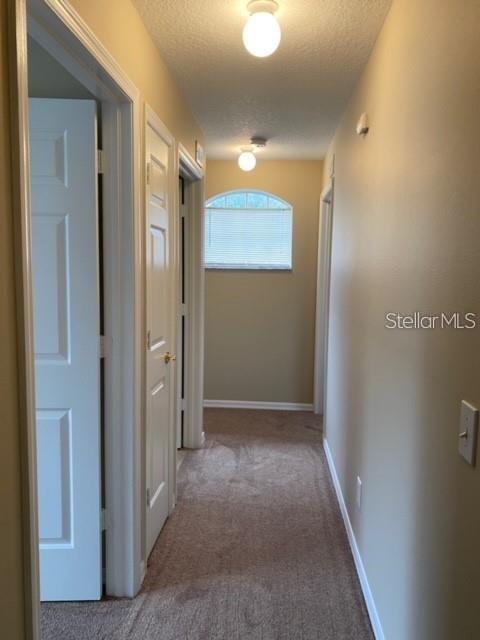 15123 DEER MEADOW DR, LUTZ, FL, 33559