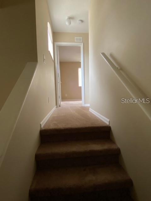 15123 DEER MEADOW DR, LUTZ, FL, 33559