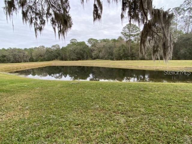 15123 DEER MEADOW DR, LUTZ, FL, 33559