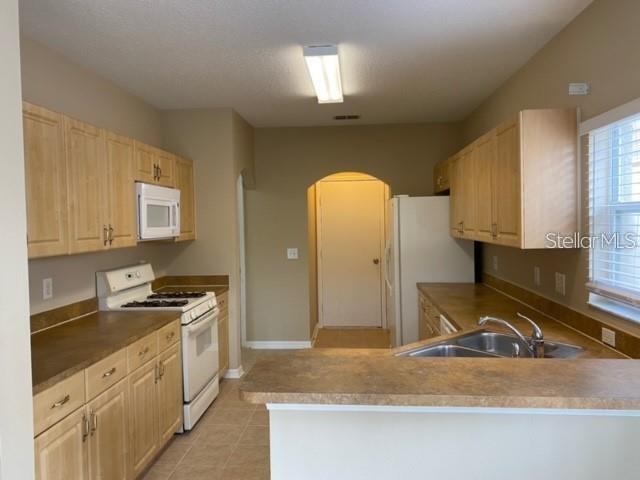 15123 DEER MEADOW DR, LUTZ, FL, 33559