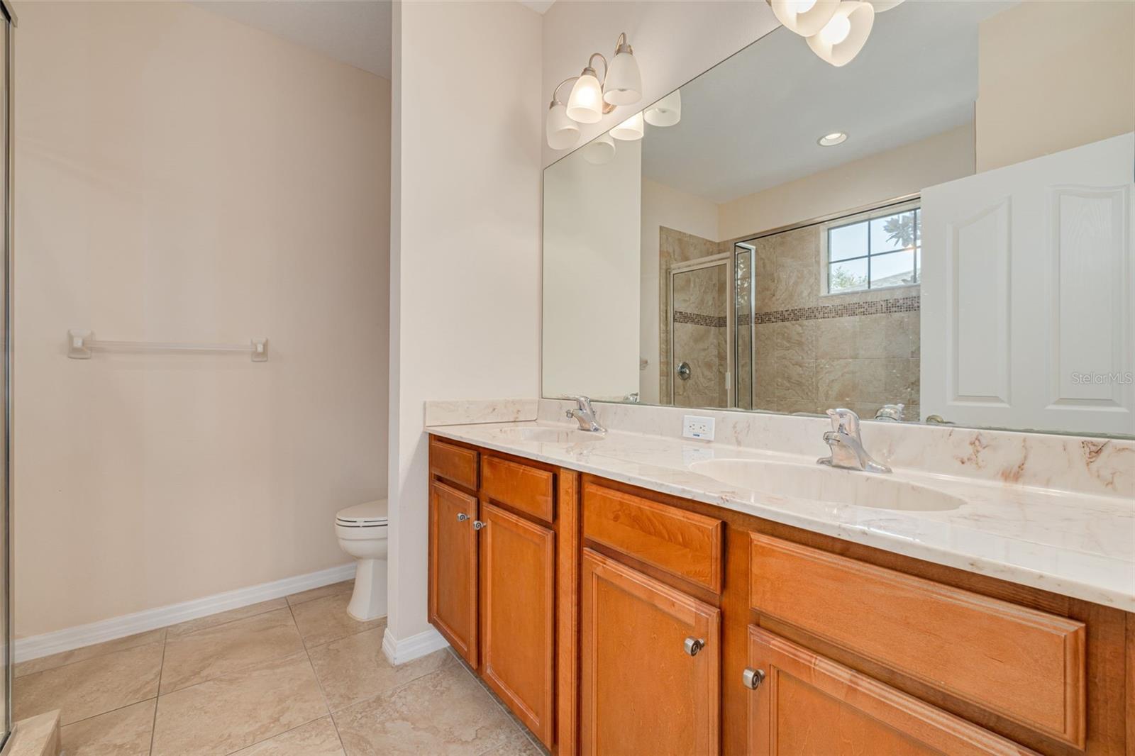 1134 S POINTE ALEXIS DR, TARPON SPRINGS, FL, 34689
