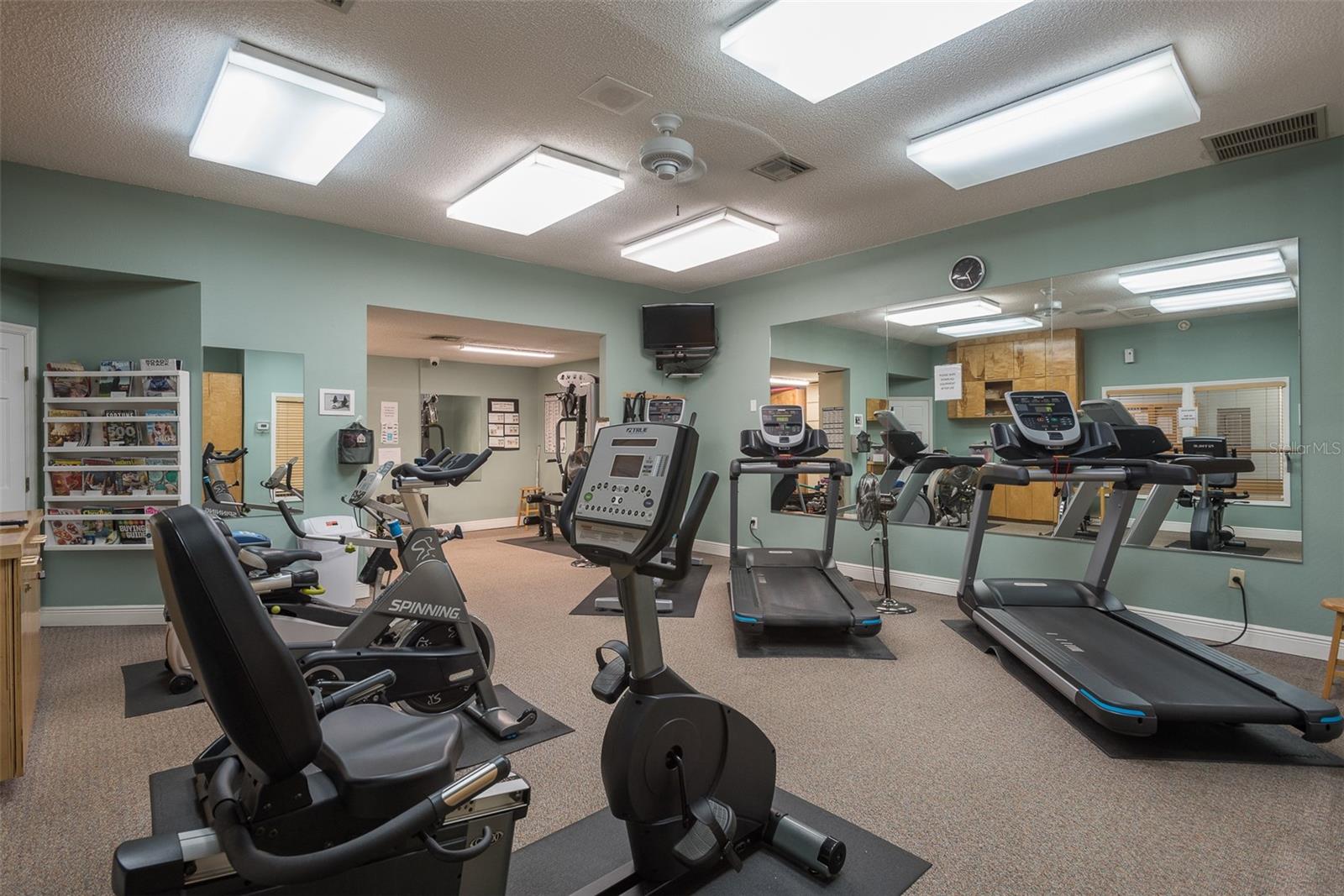 1134 S POINTE ALEXIS DR, TARPON SPRINGS, FL, 34689