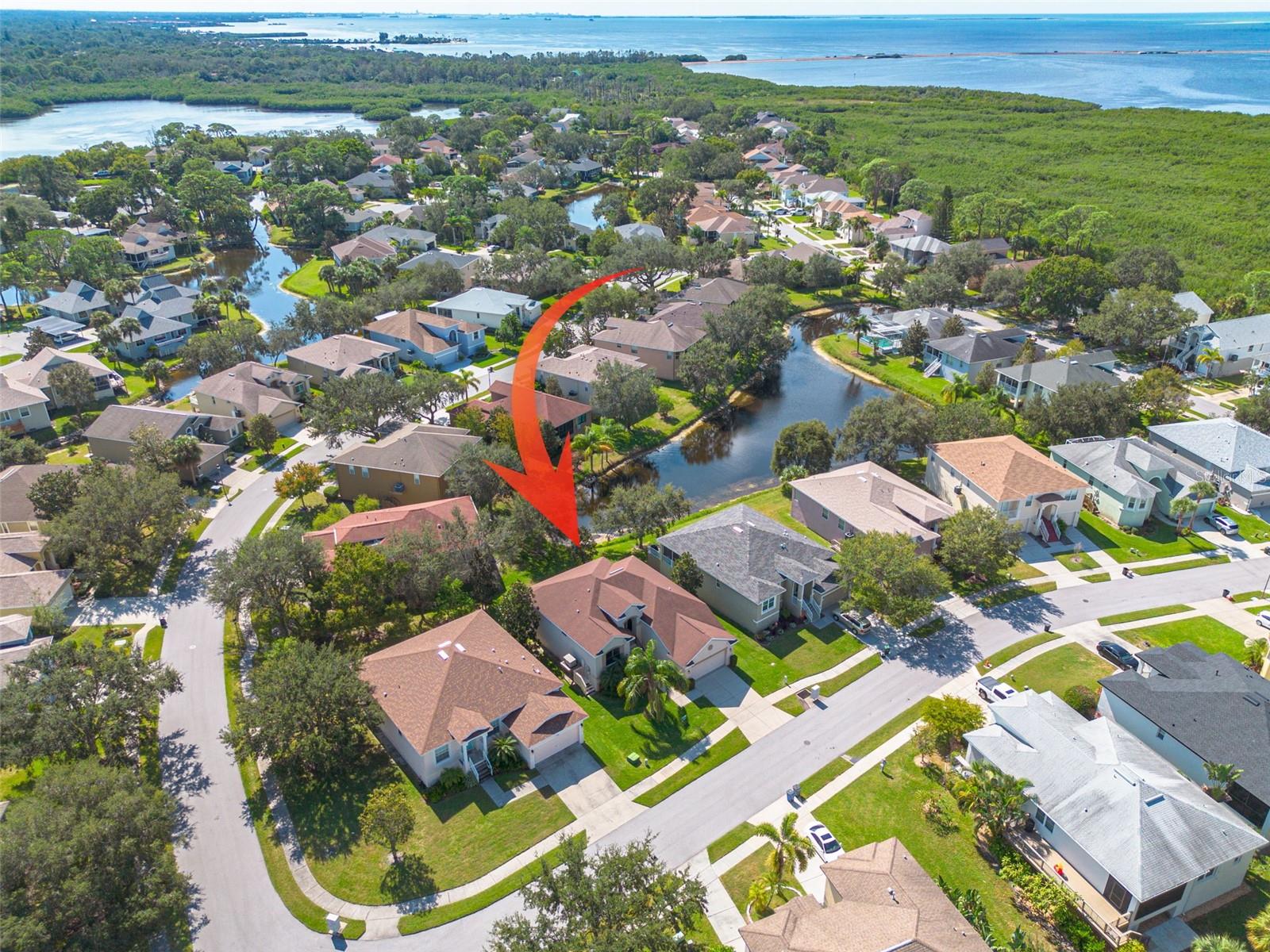 1134 S POINTE ALEXIS DR, TARPON SPRINGS, FL, 34689