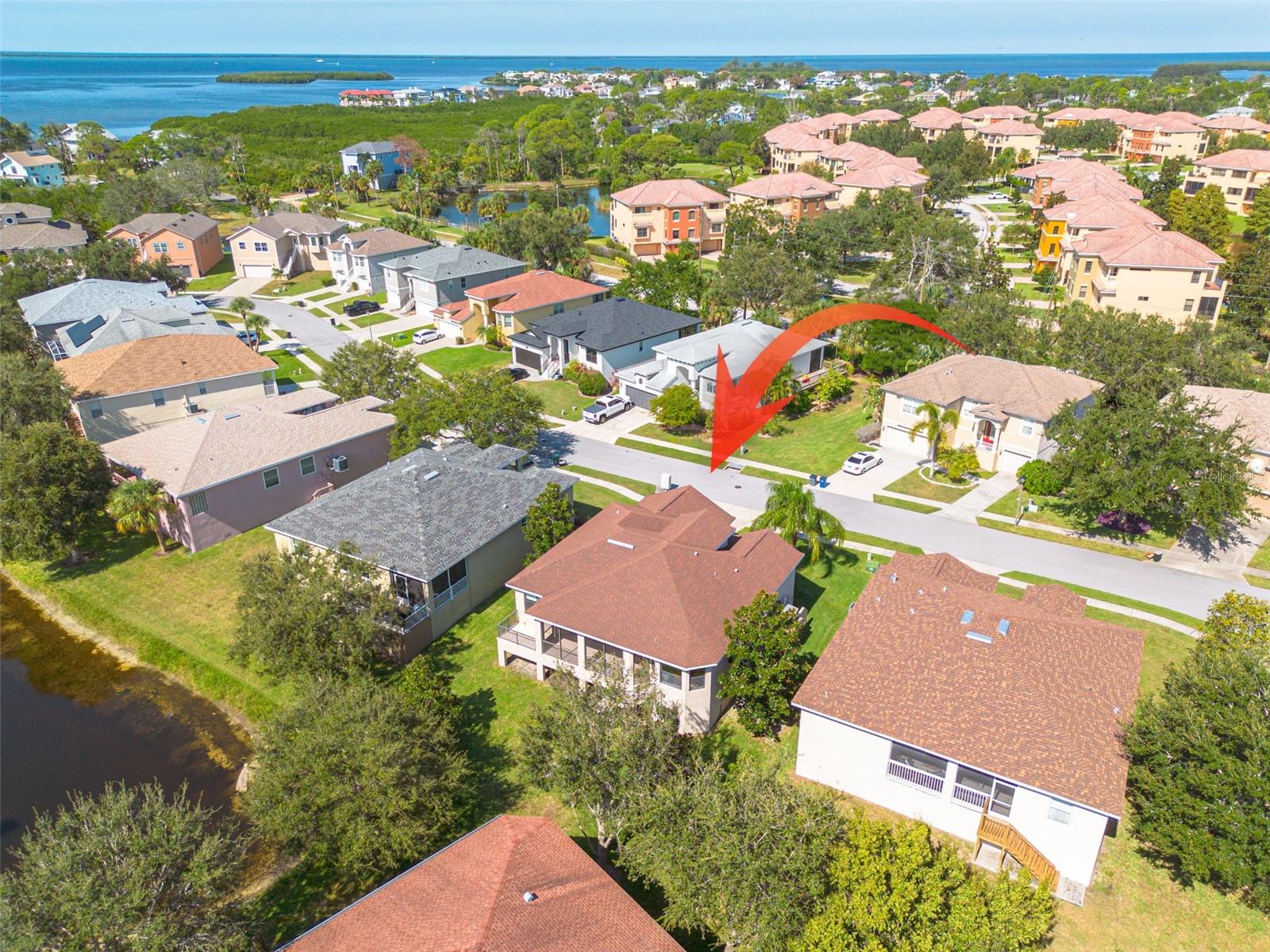 1134 S POINTE ALEXIS DR, TARPON SPRINGS, FL, 34689