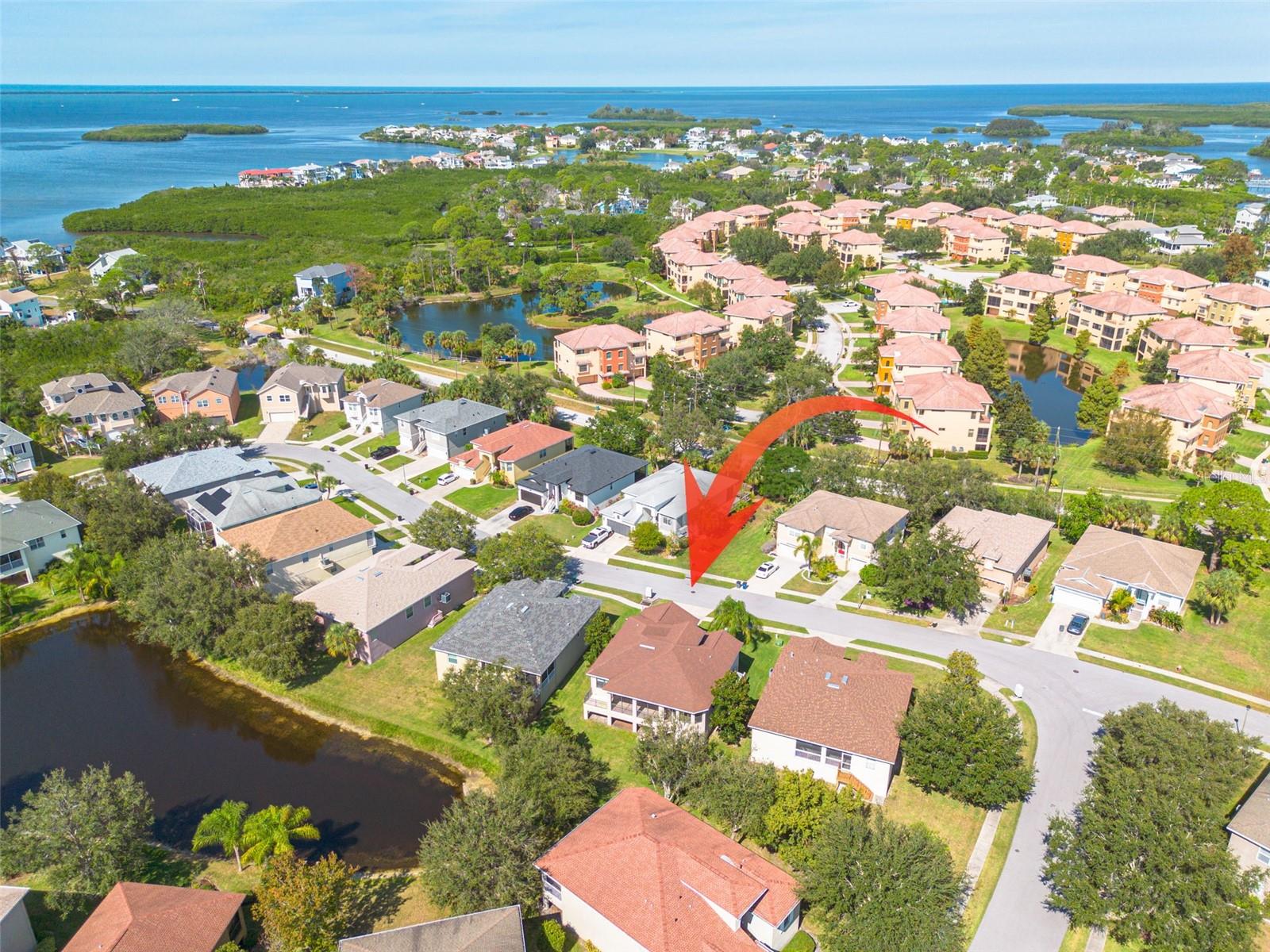 1134 S POINTE ALEXIS DR, TARPON SPRINGS, FL, 34689