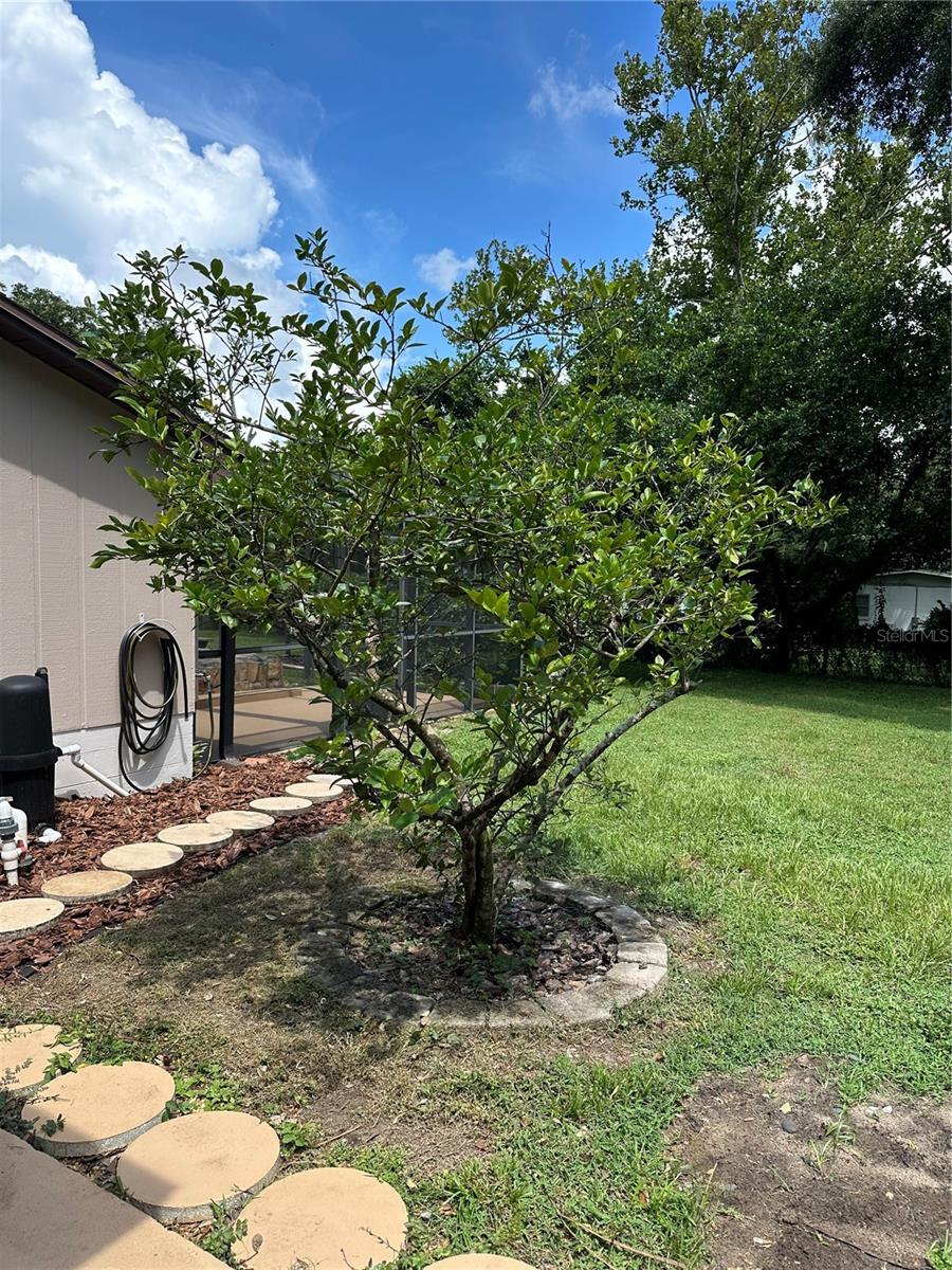 902 HOMEWOOD DR, BRANDON, FL, 33511
