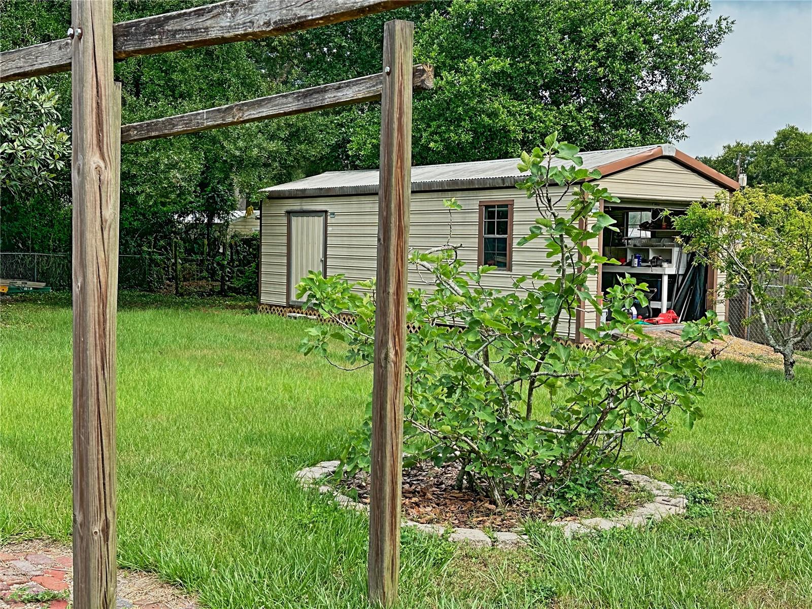 902 HOMEWOOD DR, BRANDON, FL, 33511