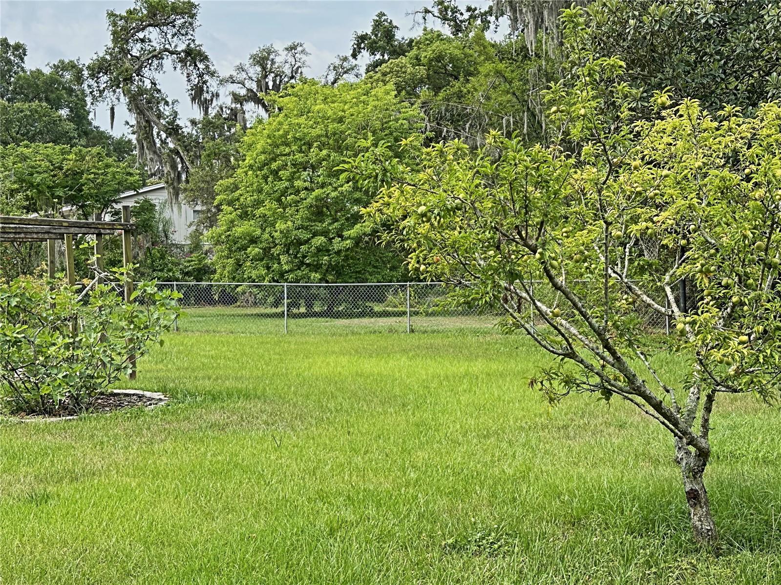 902 HOMEWOOD DR, BRANDON, FL, 33511