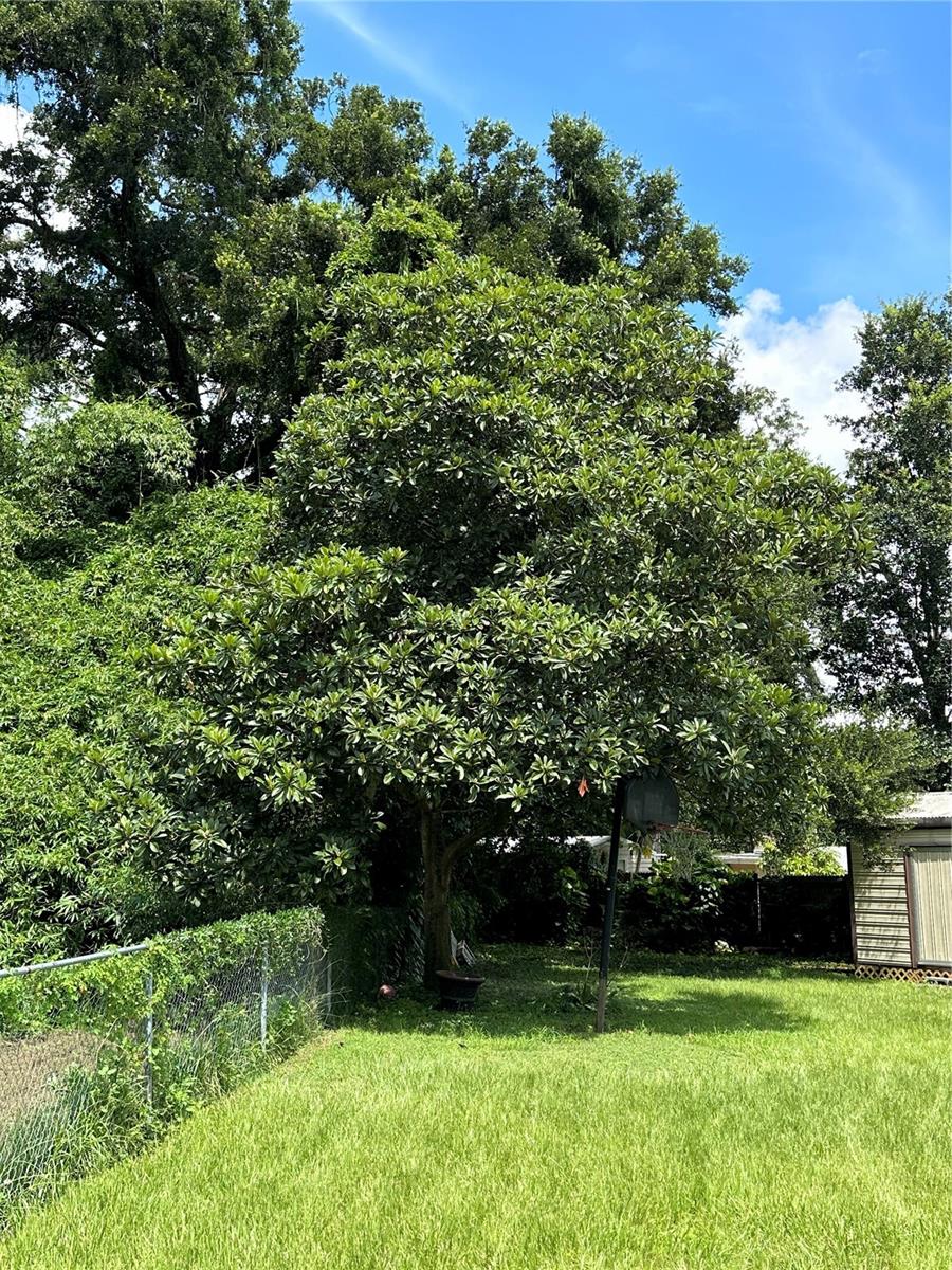 902 HOMEWOOD DR, BRANDON, FL, 33511