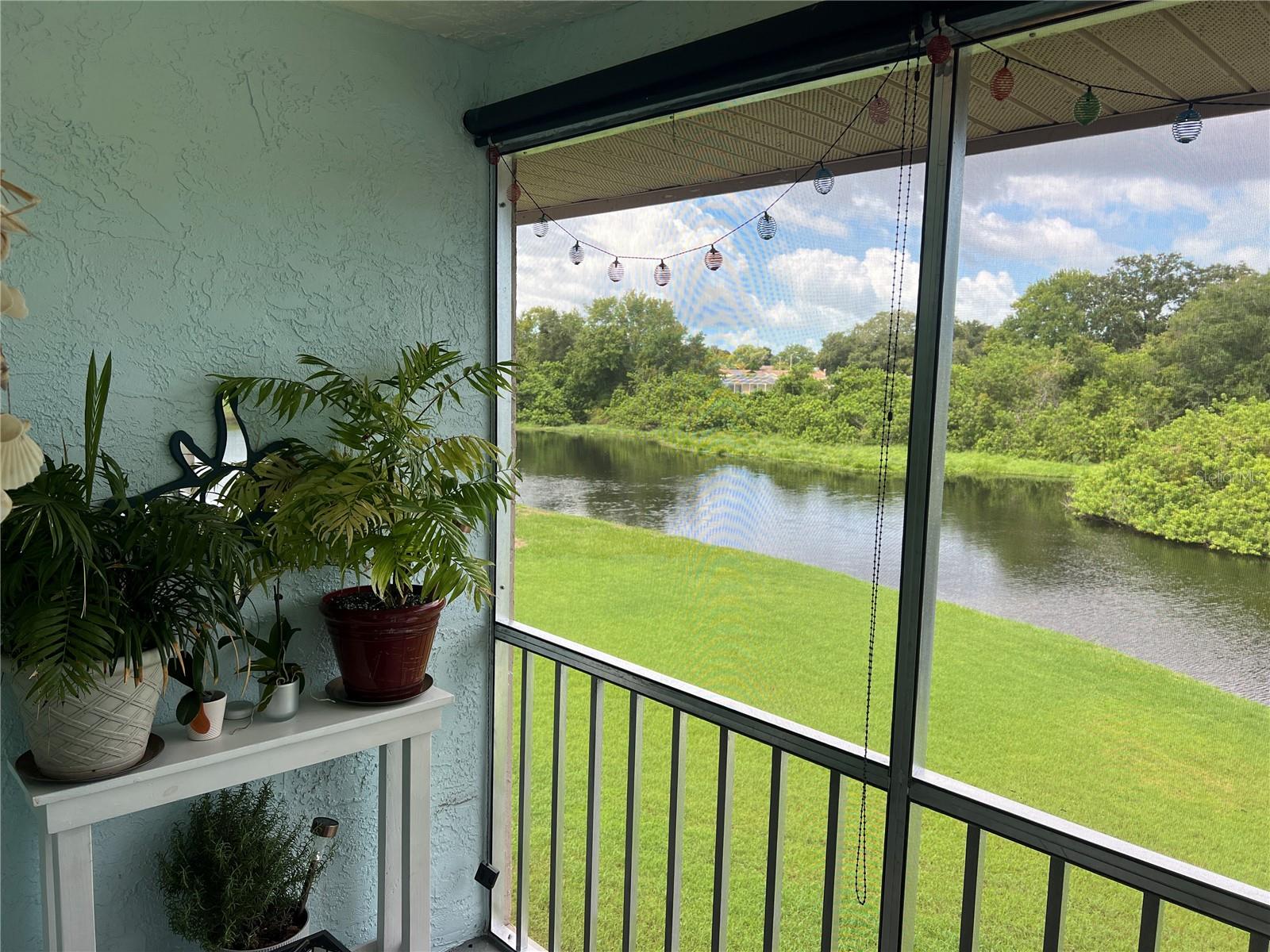 4925 MYRTLE OAK DR #22, NEW PORT RICHEY, FL, 34653