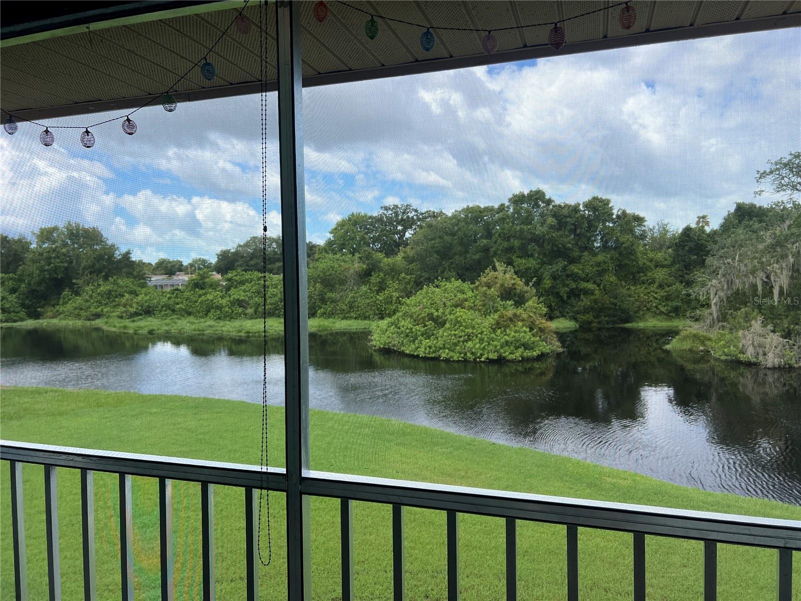 4925 MYRTLE OAK DR #22, NEW PORT RICHEY, FL, 34653