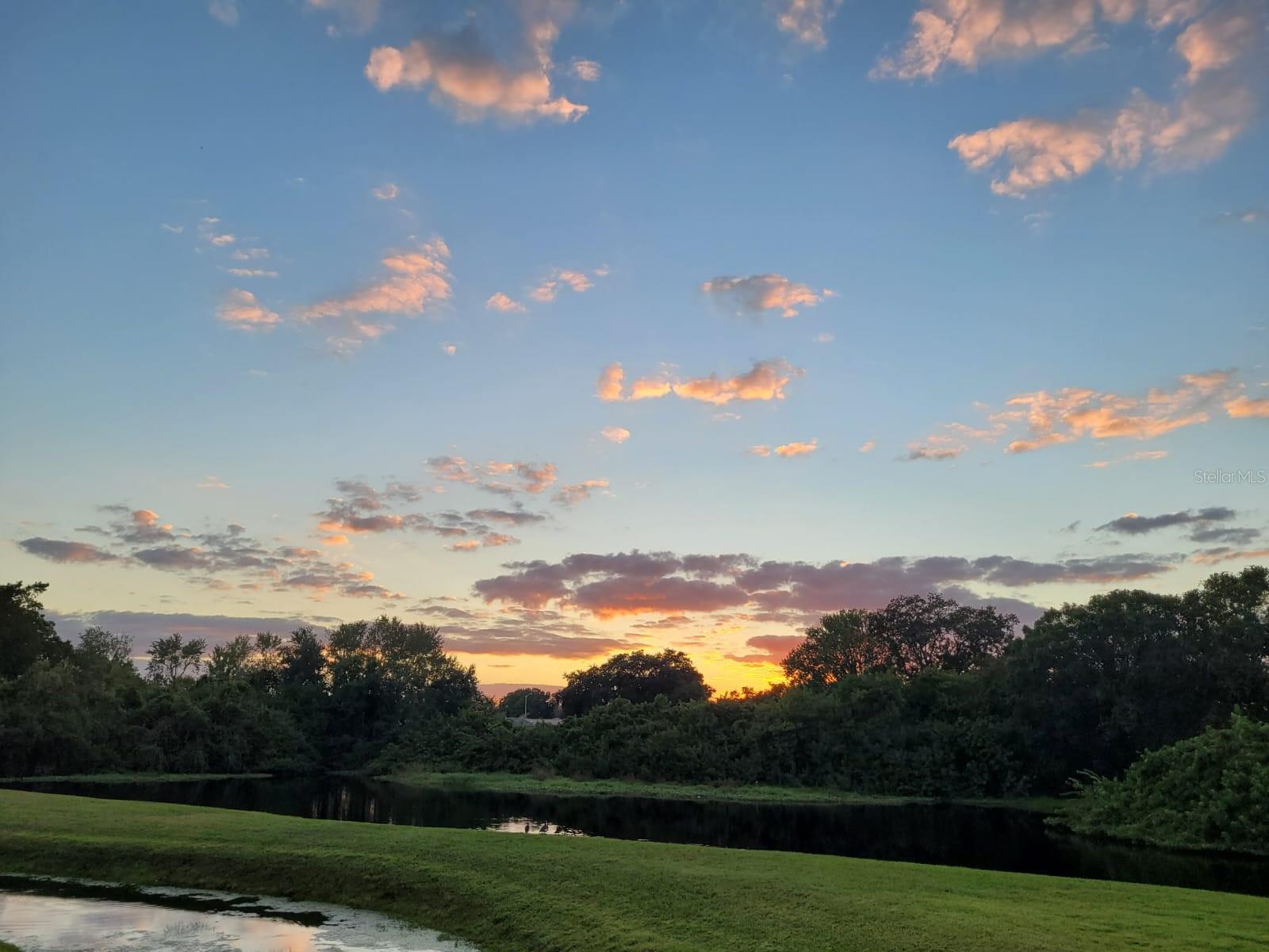 4925 MYRTLE OAK DR #22, NEW PORT RICHEY, FL, 34653