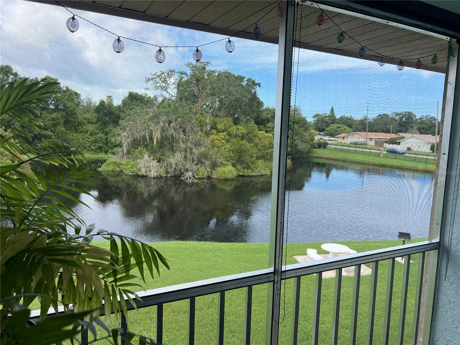 4925 MYRTLE OAK DR #22, NEW PORT RICHEY, FL, 34653