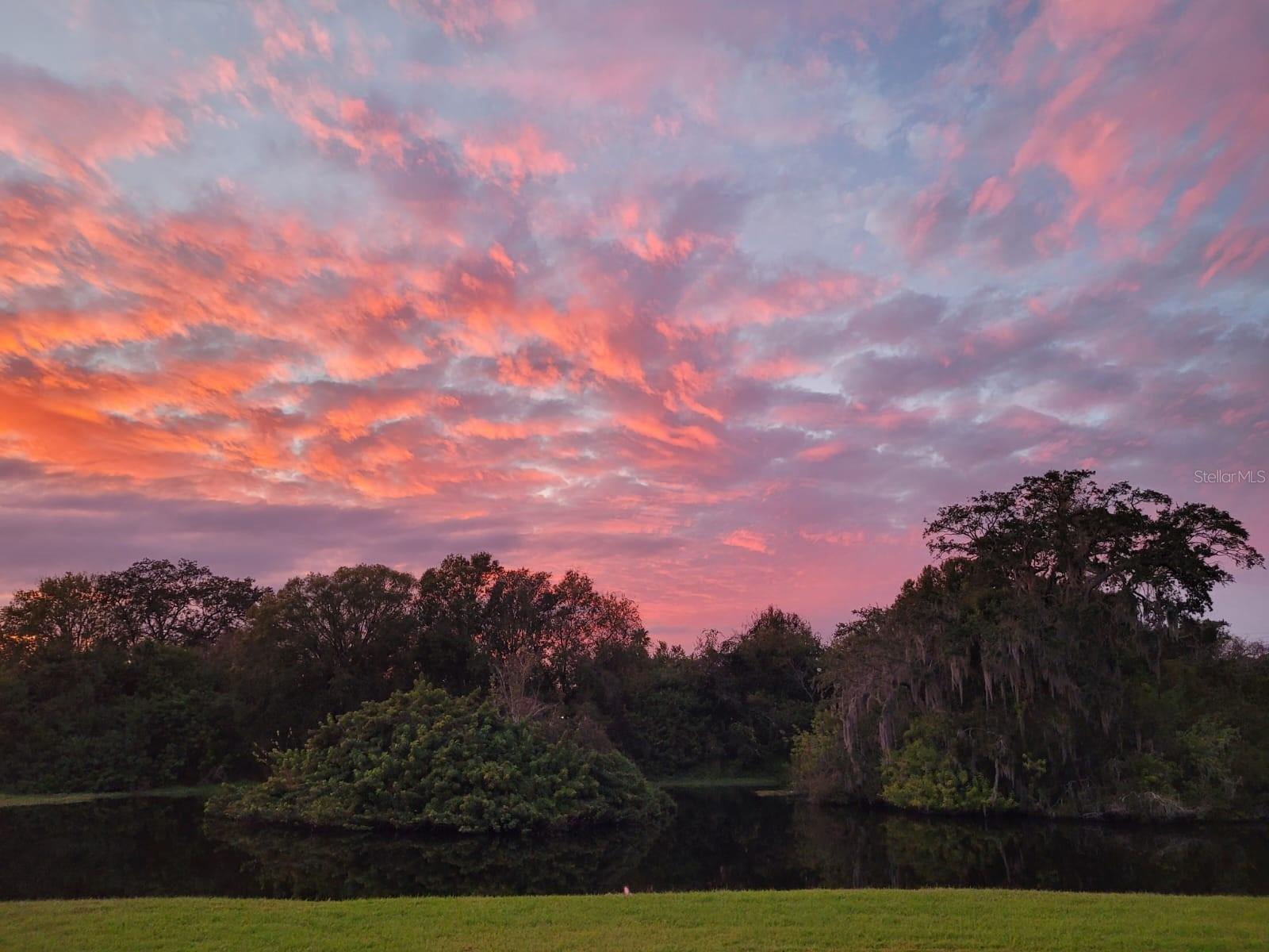 4925 MYRTLE OAK DR #22, NEW PORT RICHEY, FL, 34653