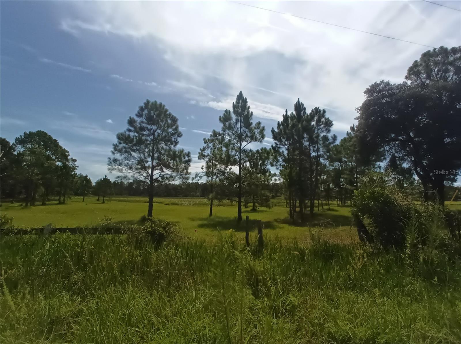 000 COOTER POND RD, DELAND, FL, 32720