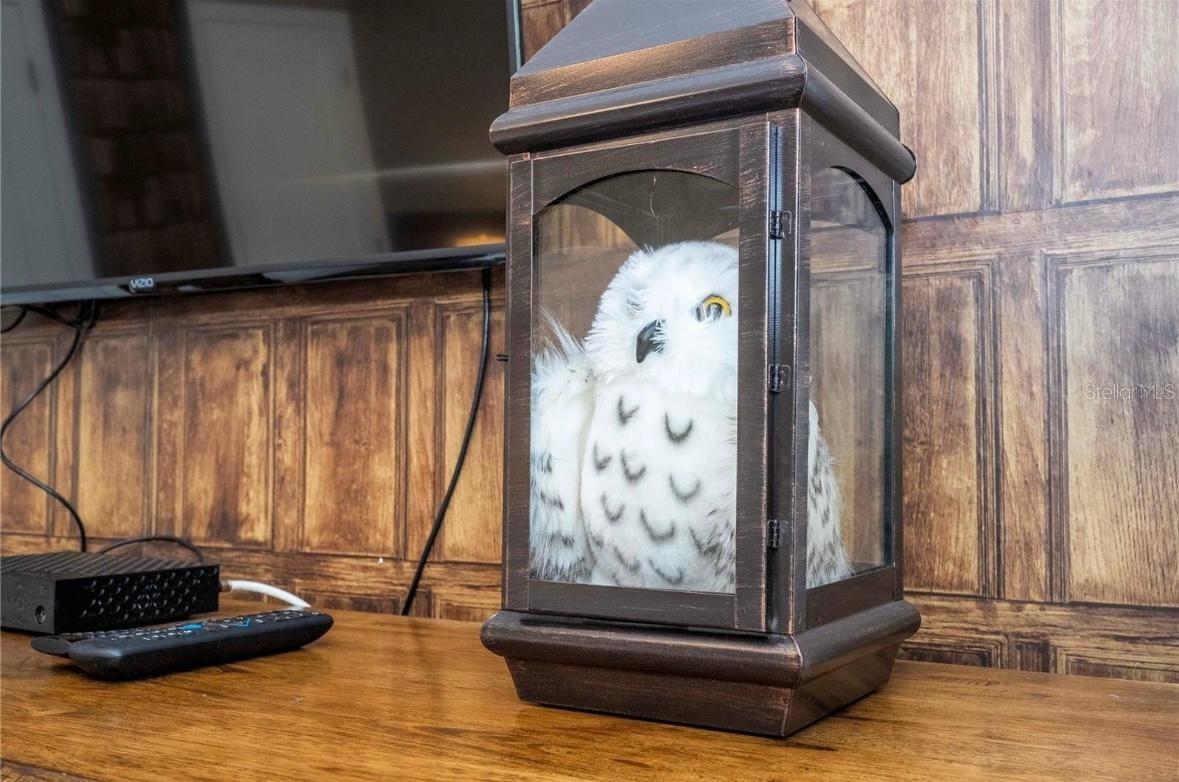 4837 DEDICATION ST, KISSIMMEE, FL, 34746