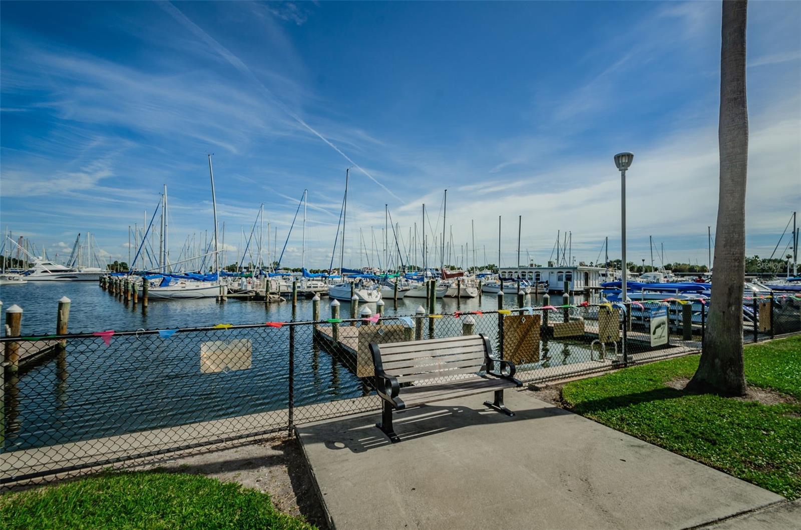 St Pete Marina