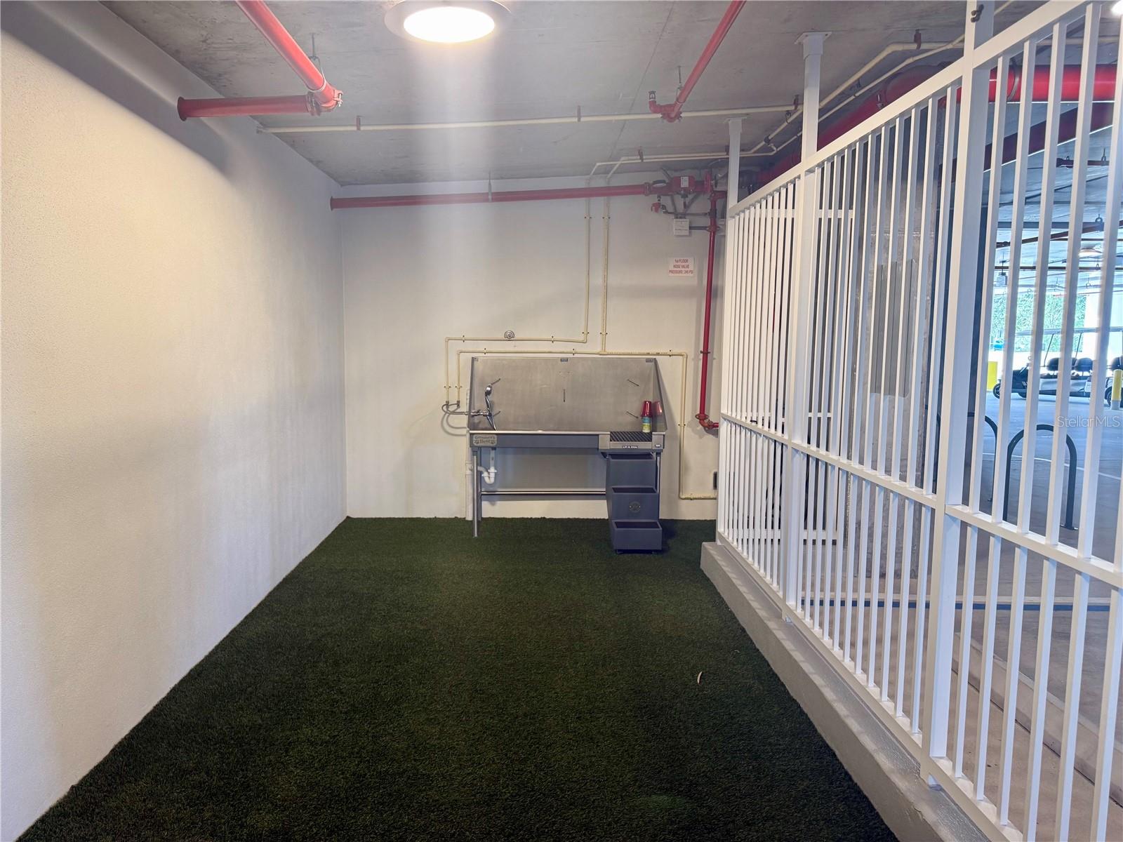 Dog Walk and Wash area