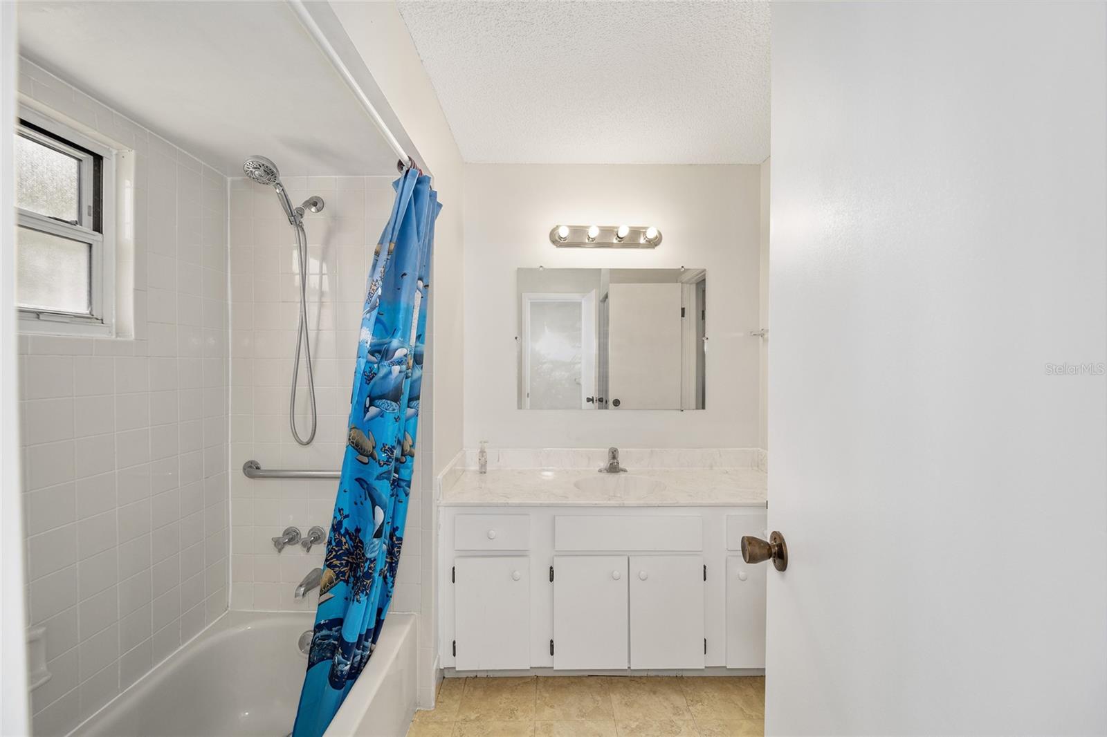 10162 SW 87TH TER, OCALA, FL, 34481