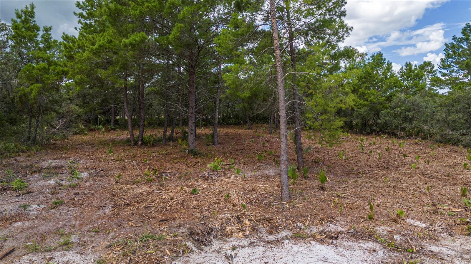 137 WOODSTORK WAY, FROSTPROOF, FL, 33843