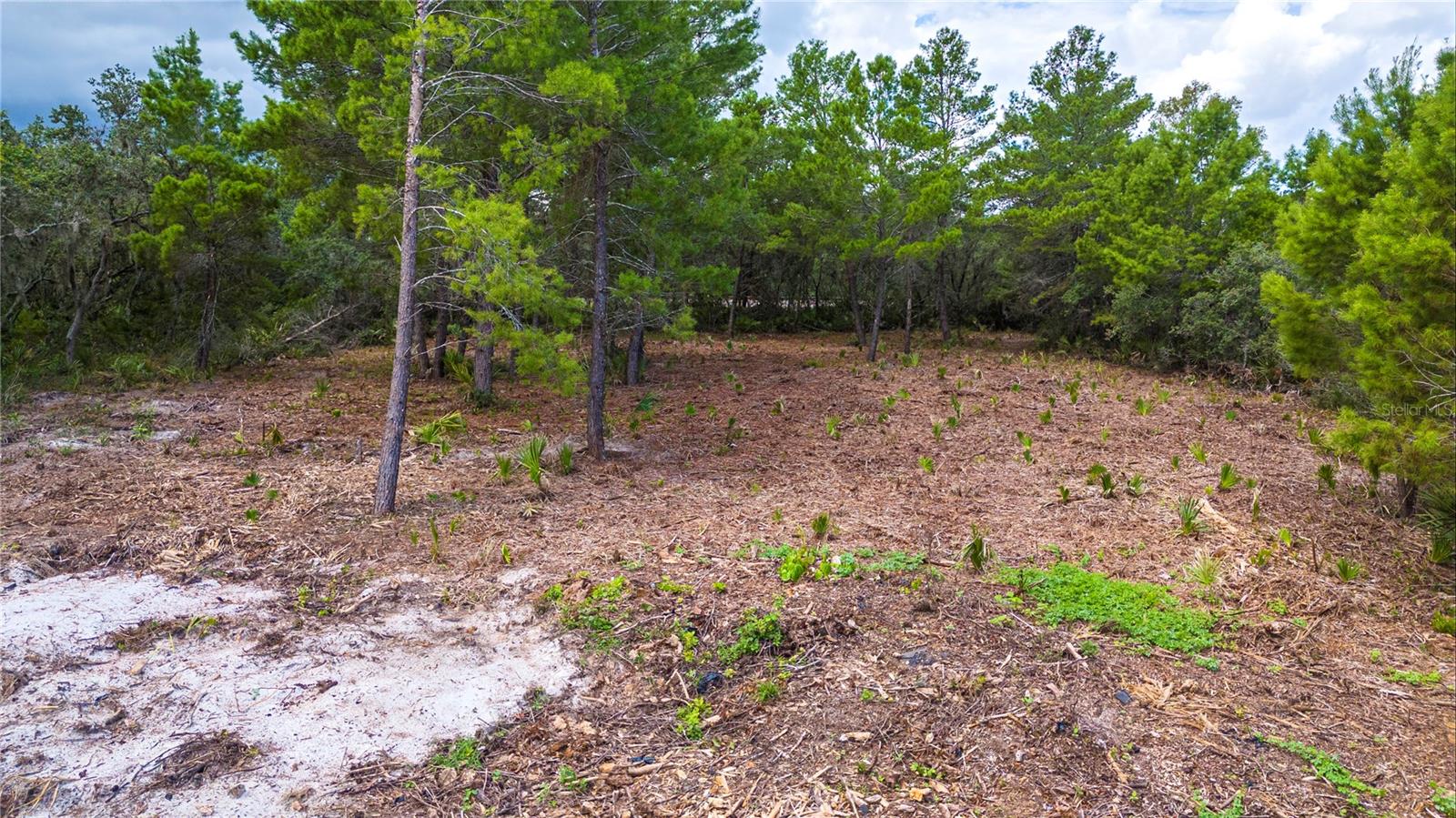 137 WOODSTORK WAY, FROSTPROOF, FL, 33843