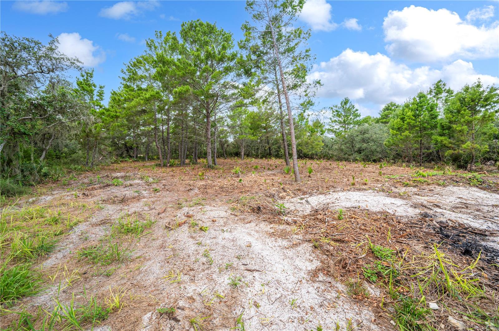 137 WOODSTORK WAY, FROSTPROOF, FL, 33843