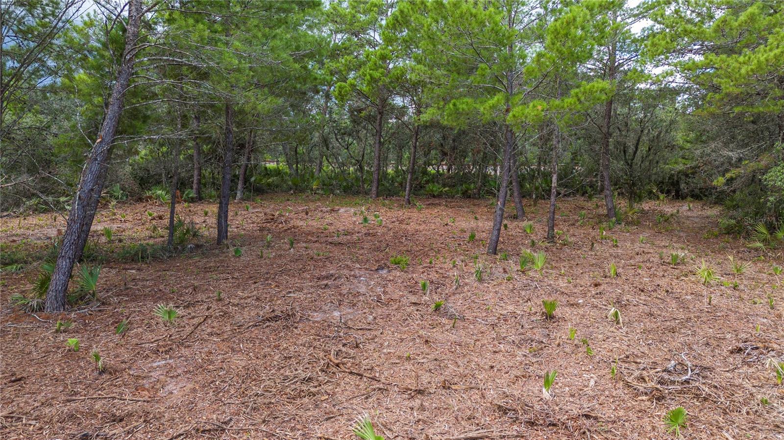 137 WOODSTORK WAY, FROSTPROOF, FL, 33843
