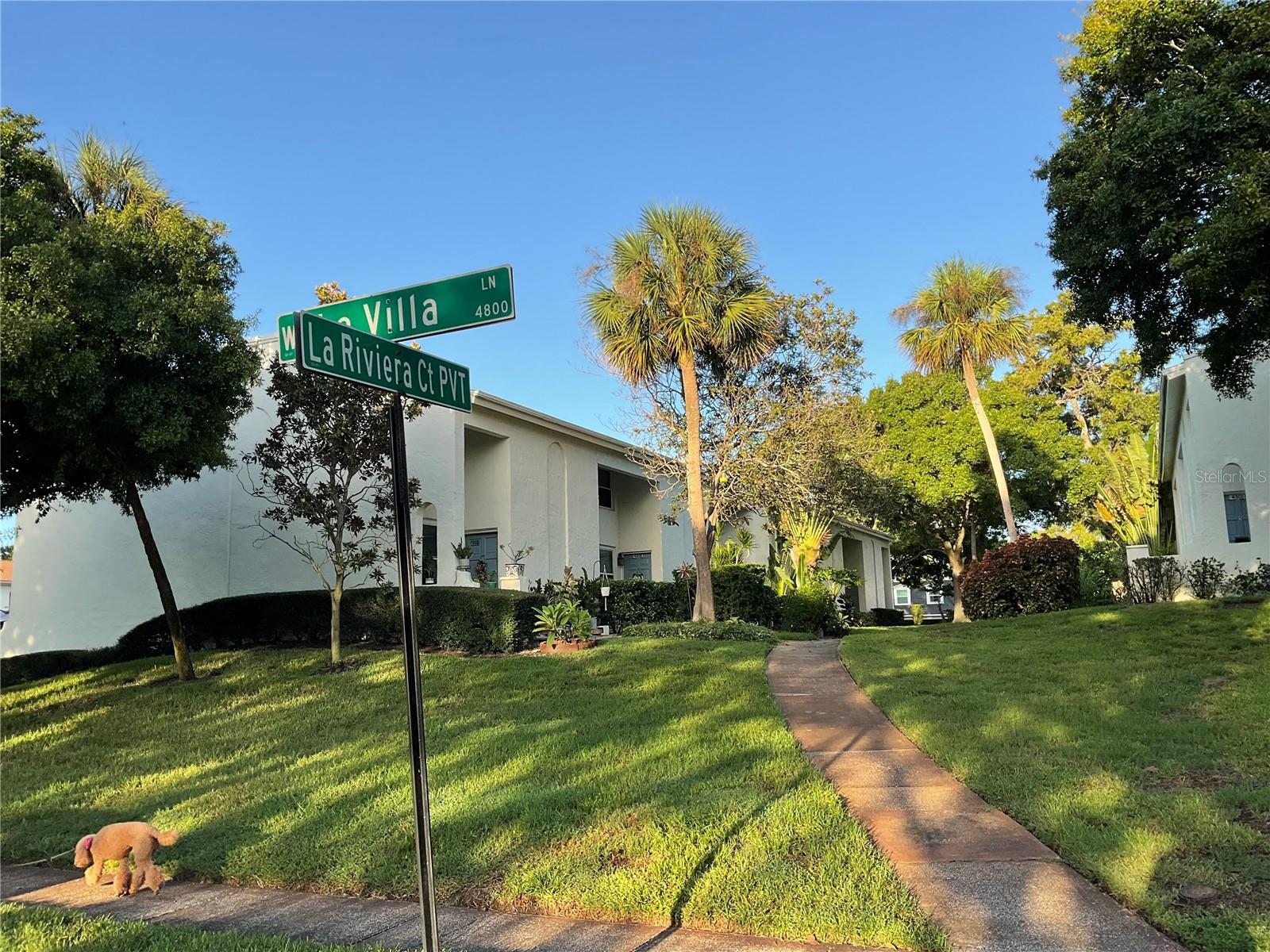 4303 LA RIVIERA CT, TAMPA, FL, 33611