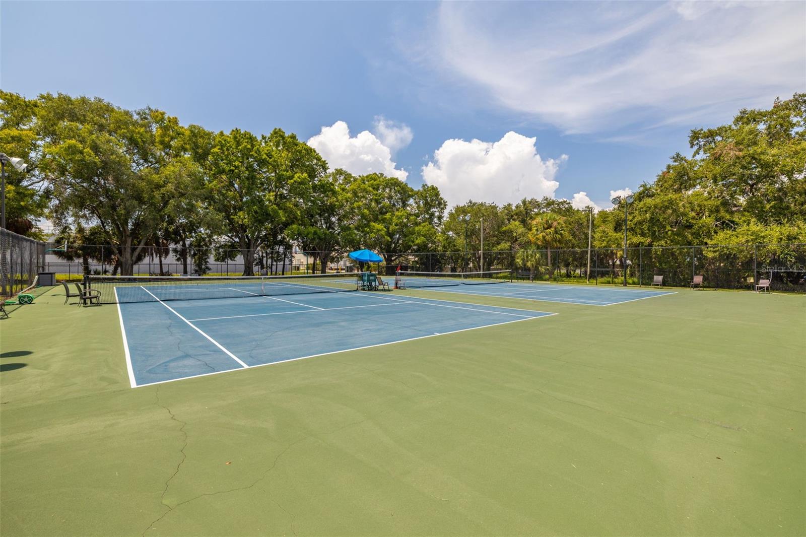 4303 LA RIVIERA CT, TAMPA, FL, 33611