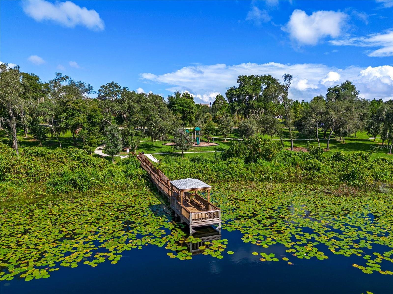 16882 SANCTUARY DR, WINTER GARDEN, FL, 34787