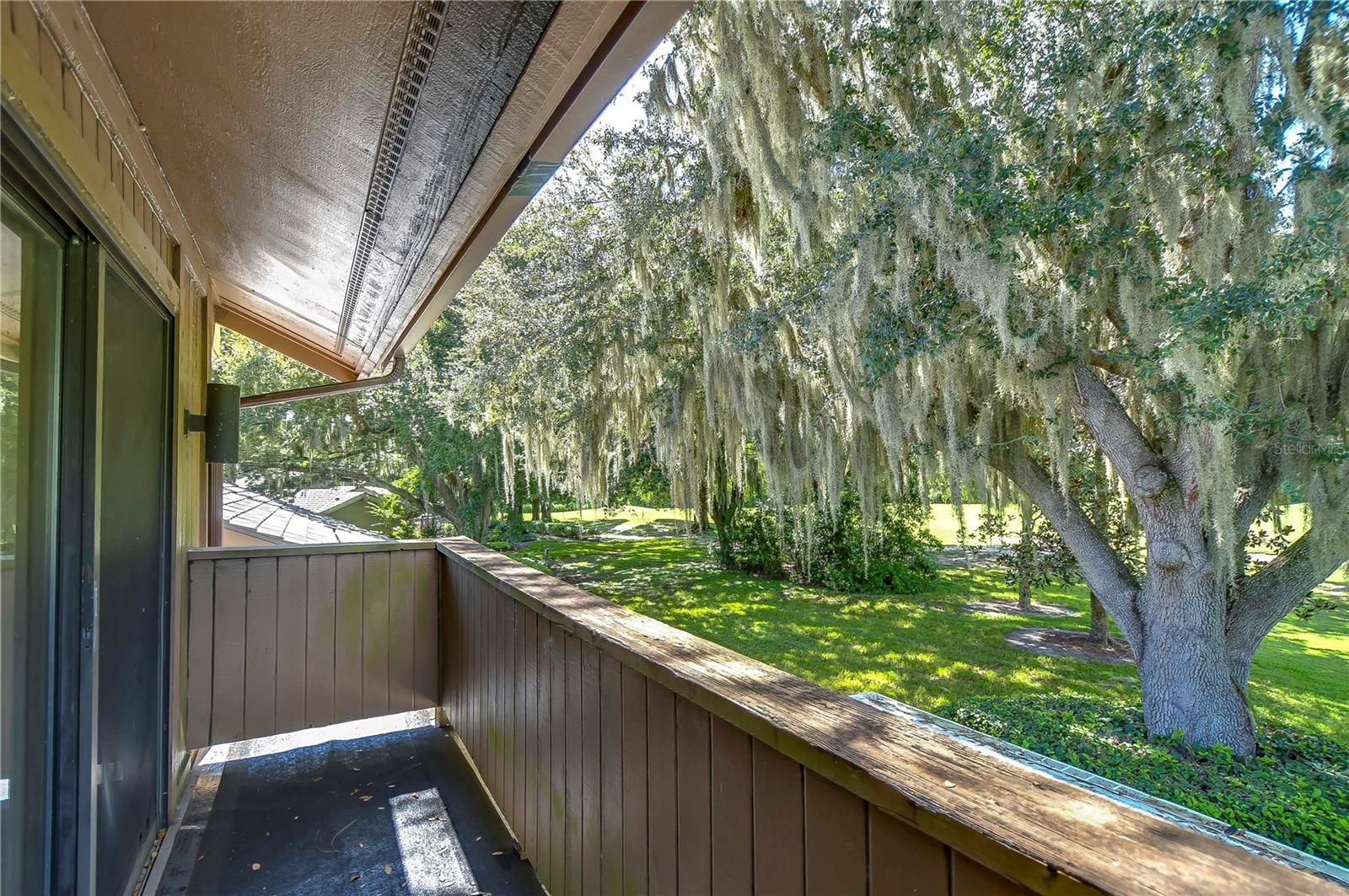 29909 BAYWOOD LN, WESLEY CHAPEL, FL, 33543