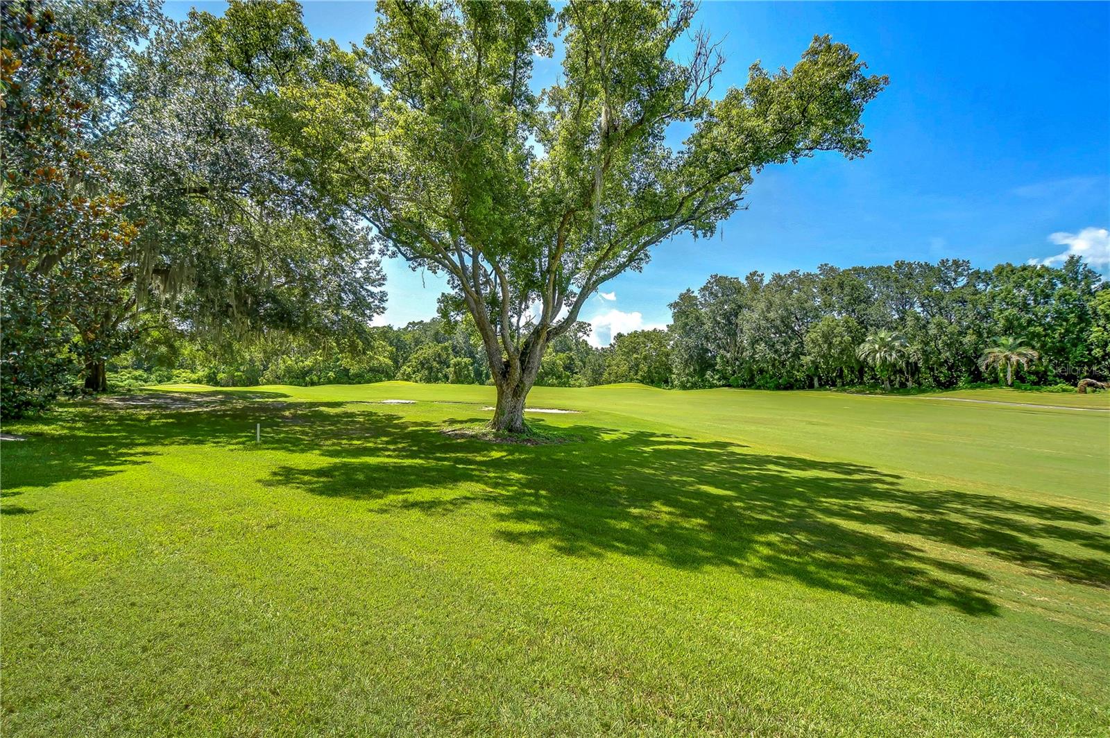 29909 BAYWOOD LN, WESLEY CHAPEL, FL, 33543