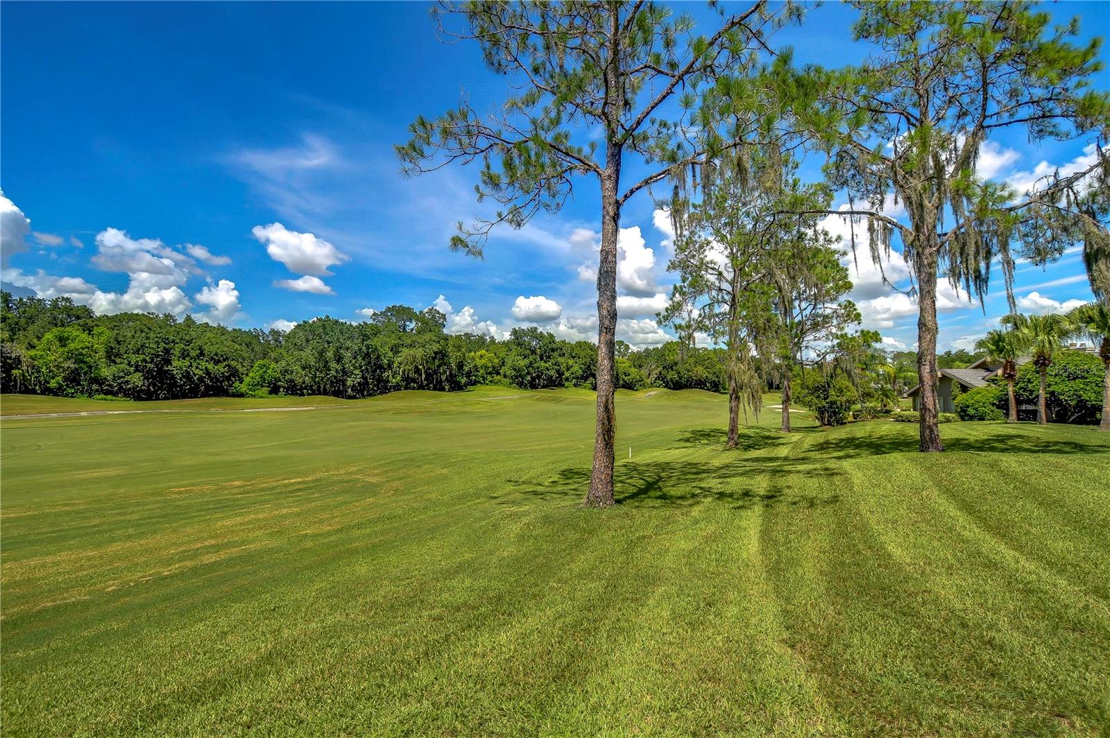 29909 BAYWOOD LN, WESLEY CHAPEL, FL, 33543