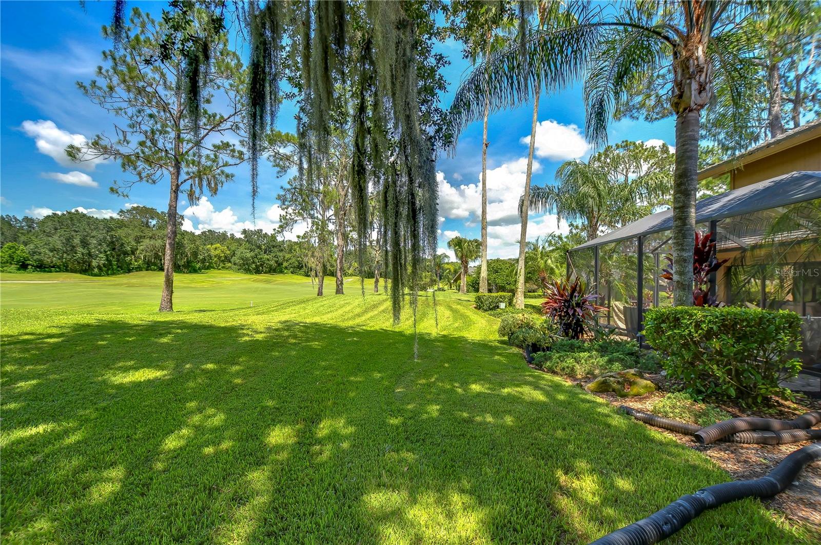 29909 BAYWOOD LN, WESLEY CHAPEL, FL, 33543