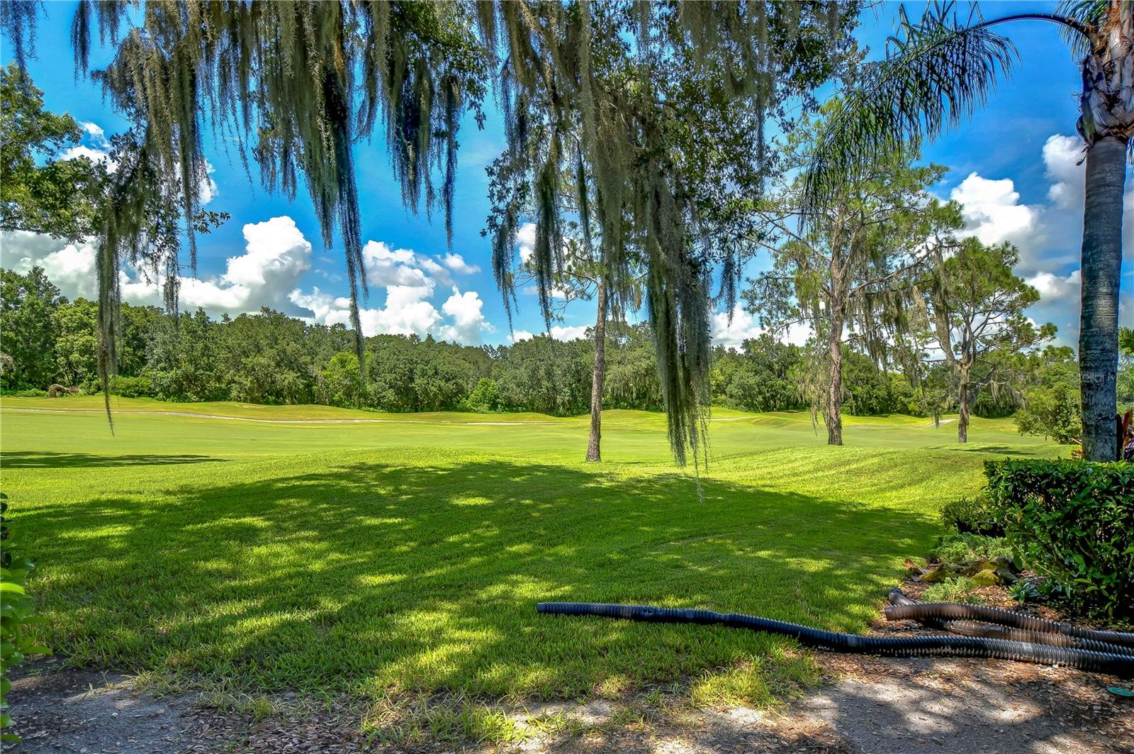 29909 BAYWOOD LN, WESLEY CHAPEL, FL, 33543
