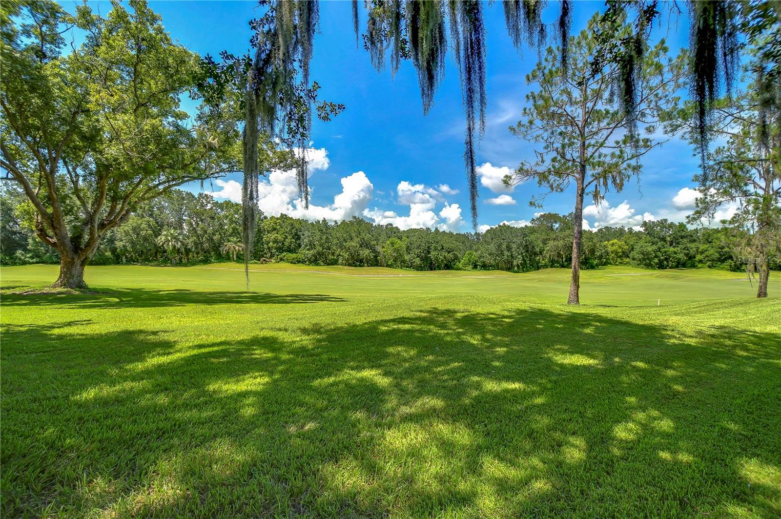 29909 BAYWOOD LN, WESLEY CHAPEL, FL, 33543