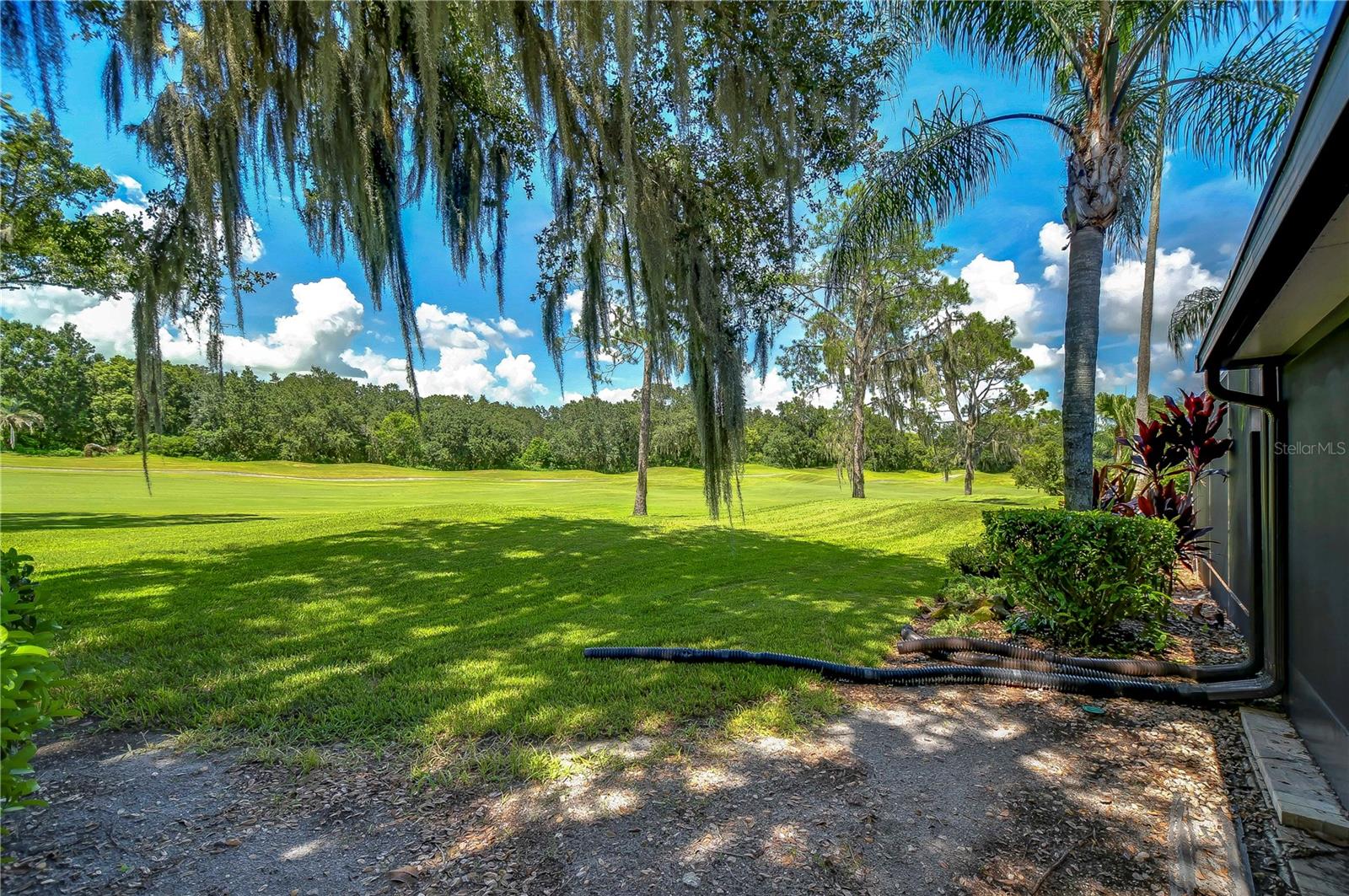 29909 BAYWOOD LN, WESLEY CHAPEL, FL, 33543