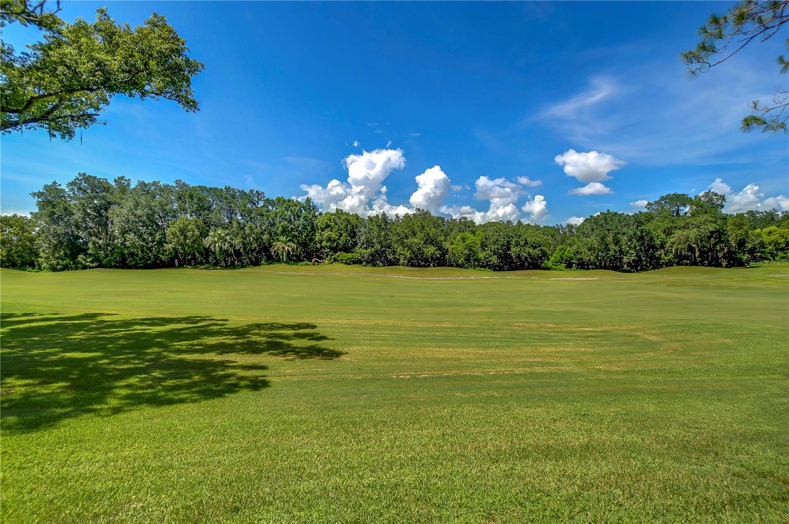 29909 BAYWOOD LN, WESLEY CHAPEL, FL, 33543