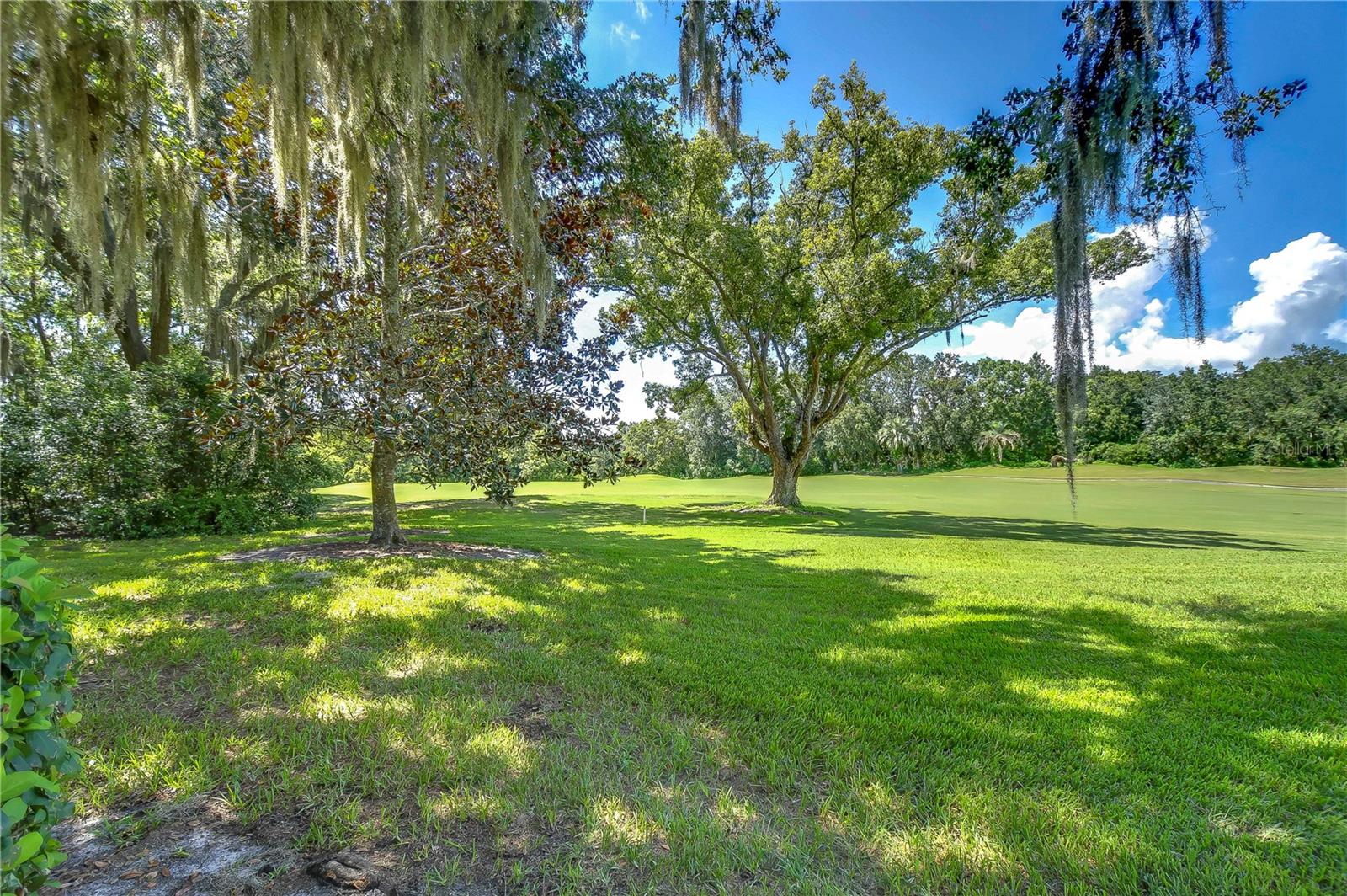 29909 BAYWOOD LN, WESLEY CHAPEL, FL, 33543